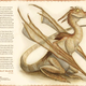 Illustration for article titled Inside The Fantasy Art Of Superstar Artist Tony DiTerlizzi